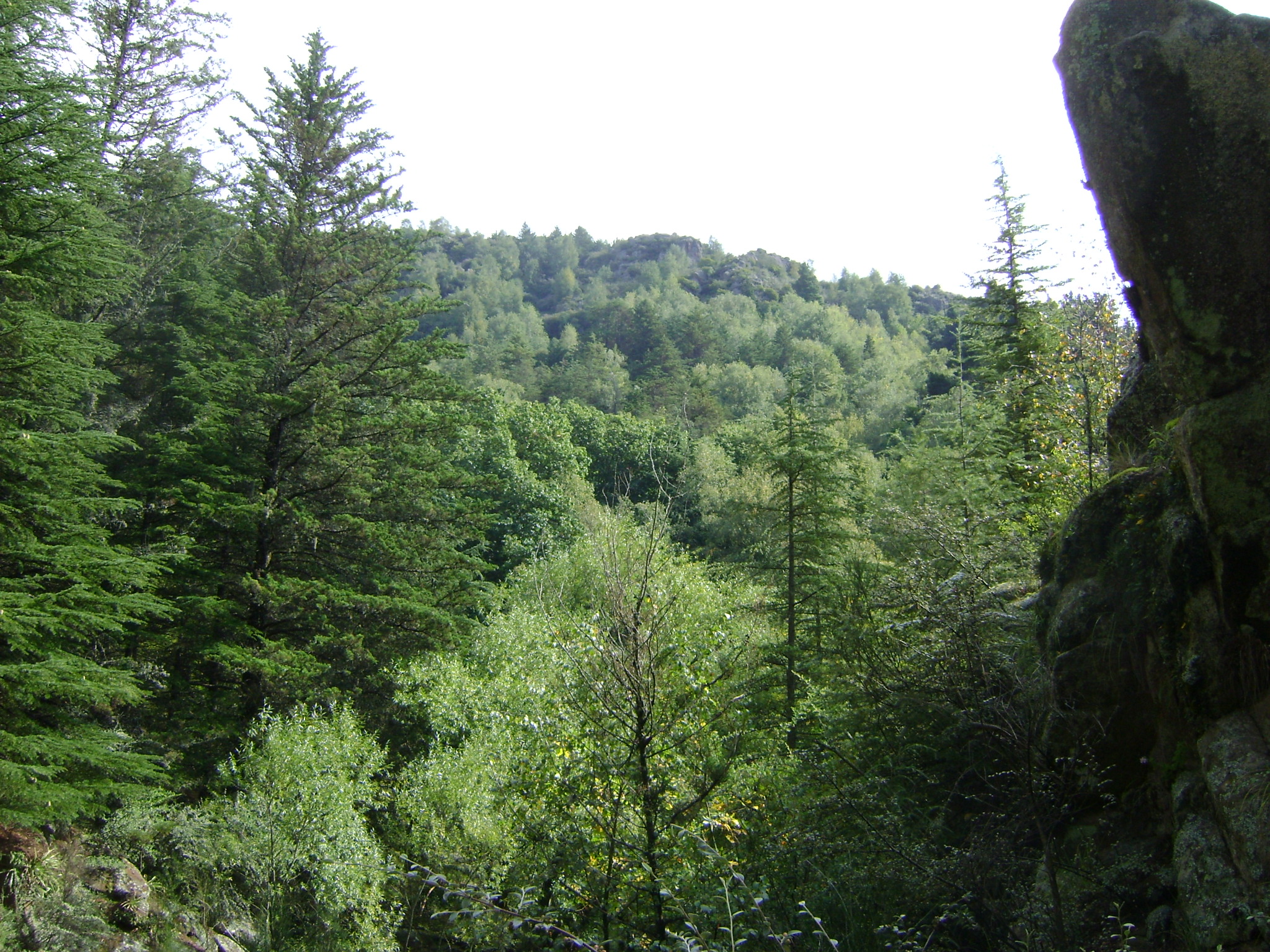 fotos/2011 - Los Reartes/DSC03386.JPG